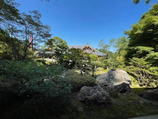 开云官网-日本阿含・桐山杯许家元首度加冕,井山事不过“五”